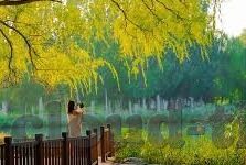 麻豆啊传媒app黄版破解免费ios-文章，麻豆啊传媒APP，透视真假与风险边缘