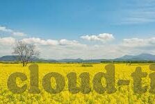 麻豆社区app-Madoo社区app，内容与体验并蓄的数字化娱乐新平台