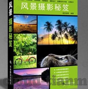 最新动漫伦理片r-动漫伦理的多元视角，在虚构世界中寻找真实